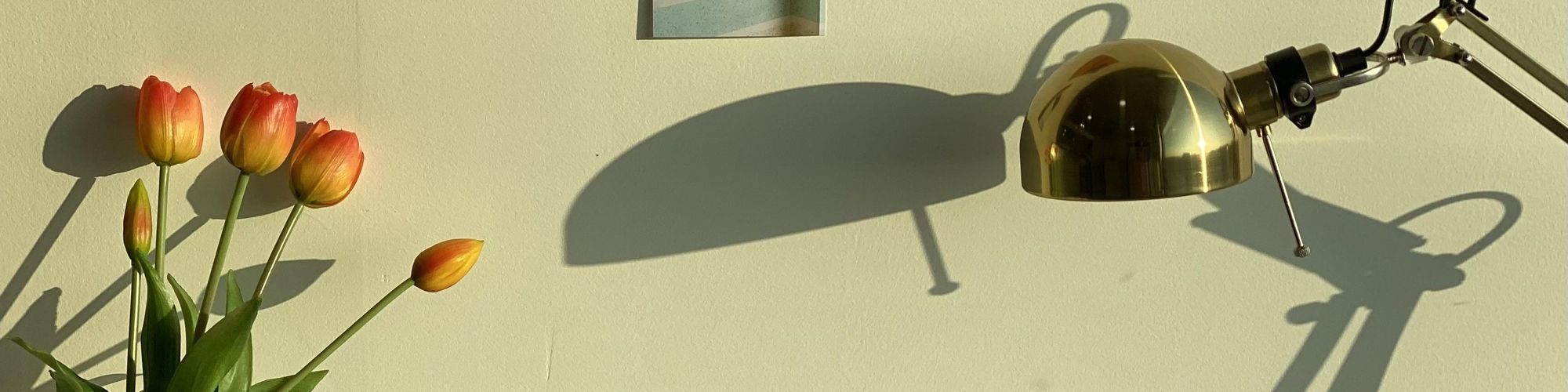 user-banner-image