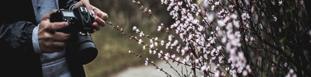 user-banner-image