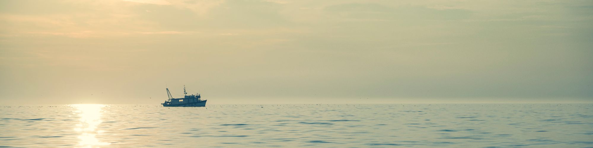 user-banner-image