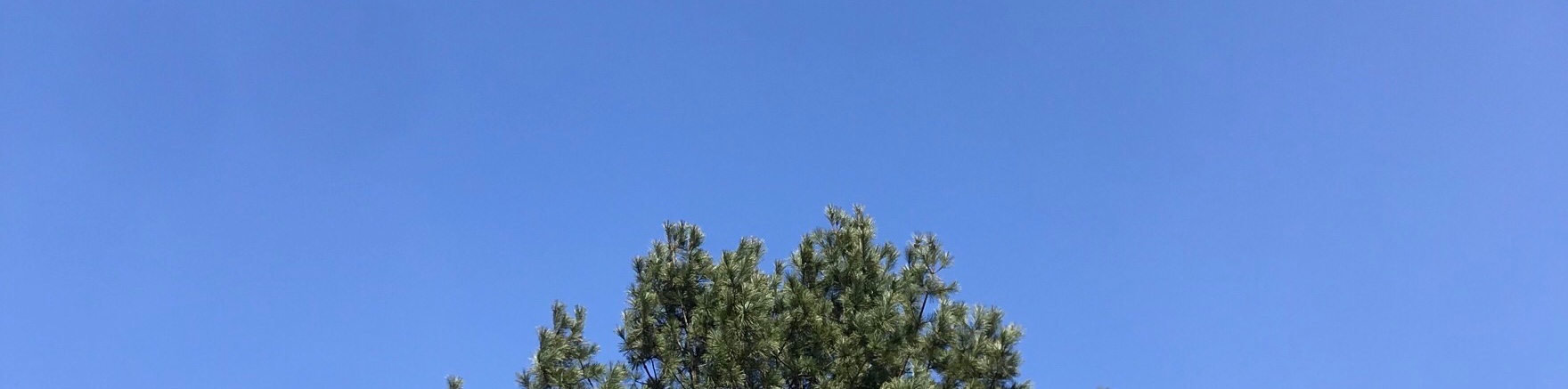 user-banner-image