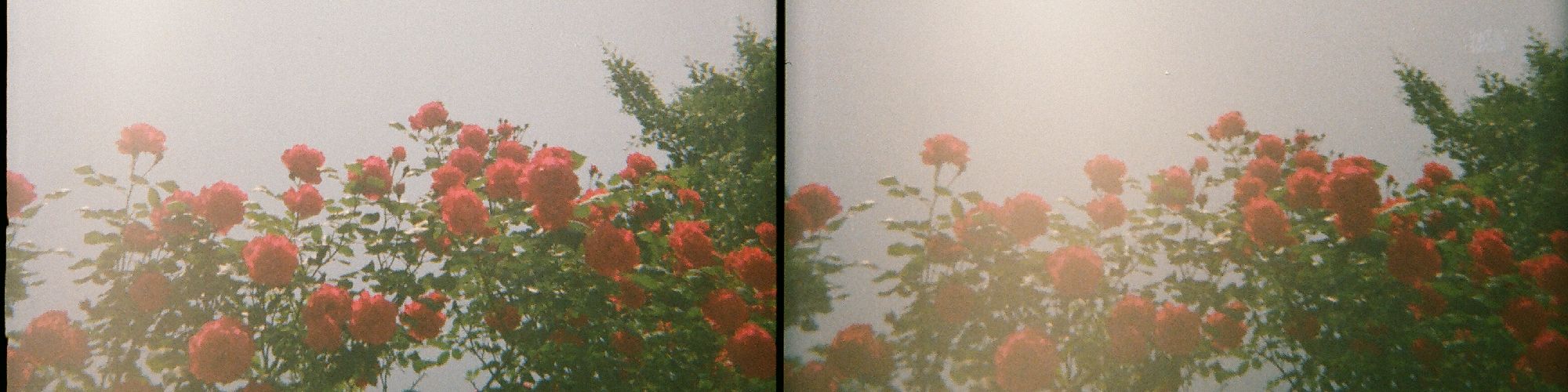user-banner-image
