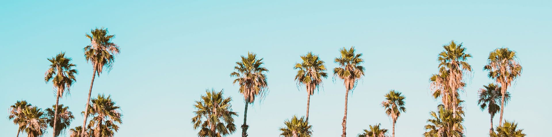 user-banner-image