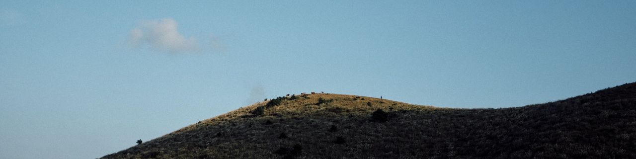 user-banner-image