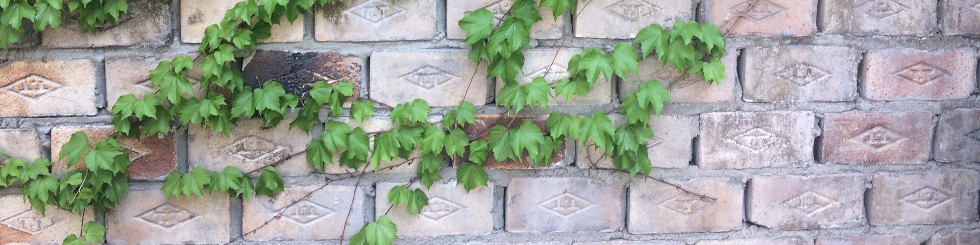 user-banner-image