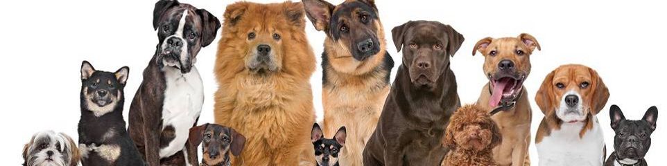 user-banner-image