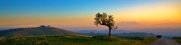 user-banner-image