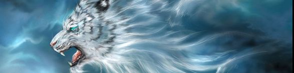 user-banner-image