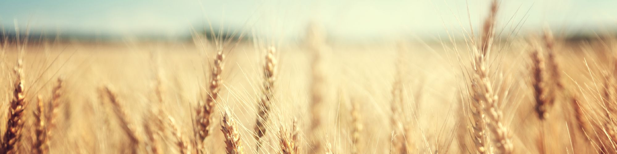 user-banner-image