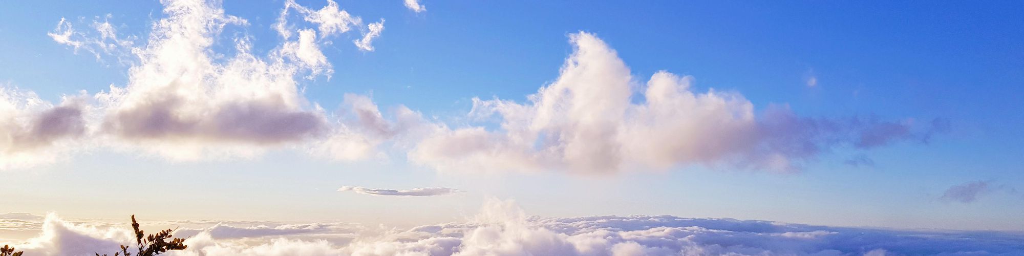 user-banner-image