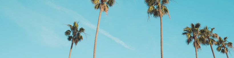 user-banner-image