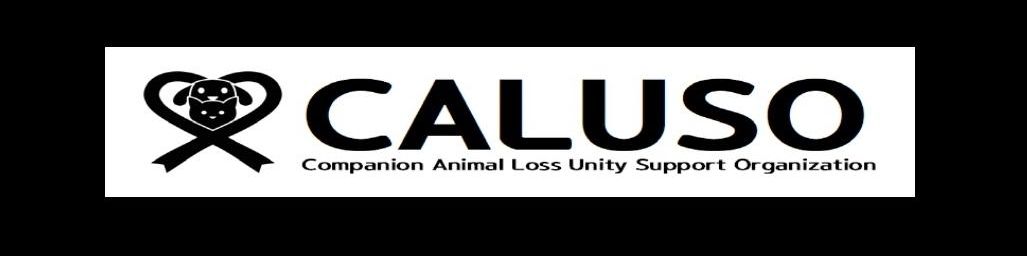 user-banner-image