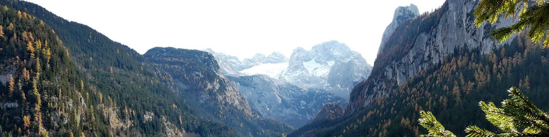 user-banner-image