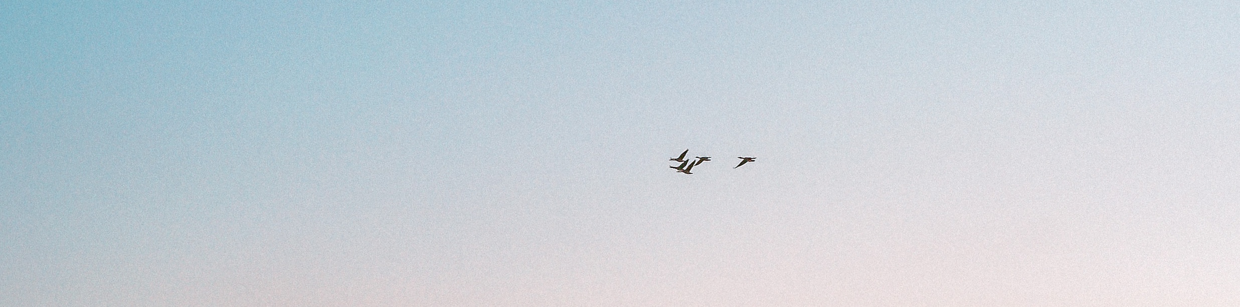 user-banner-image