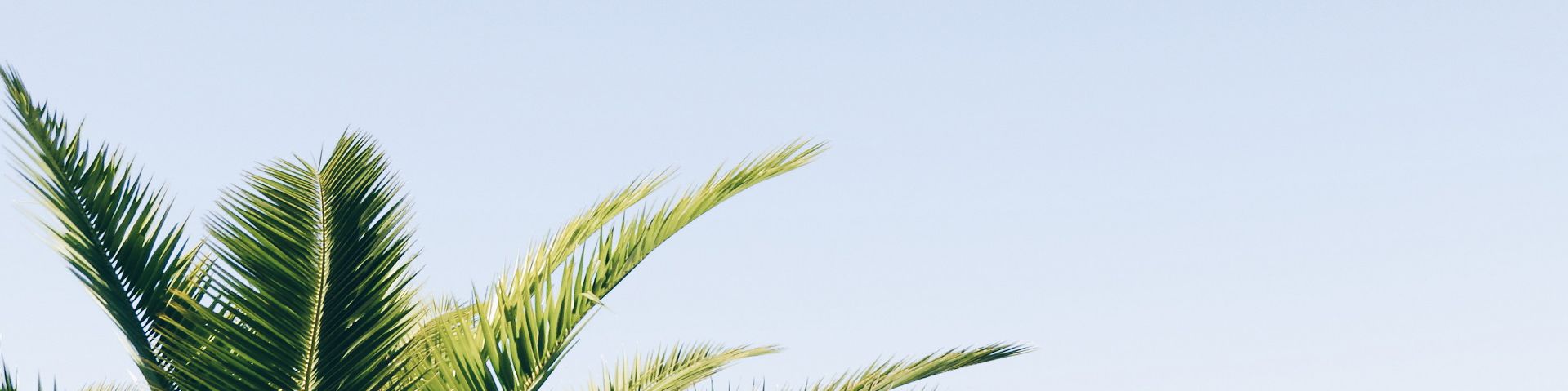 user-banner-image