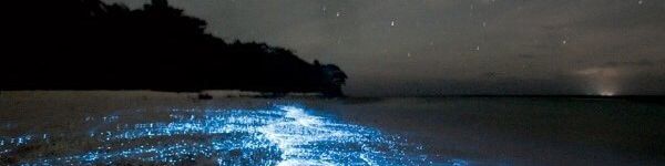 user-banner-image